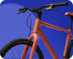 bike_Home_Site_Domini_ThumbsSeguro