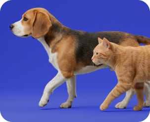 pet_Home_Site_Domini_ThumbsSeguro