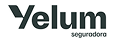 https://www.yelumseguros.com.br/Pages/Home.aspx